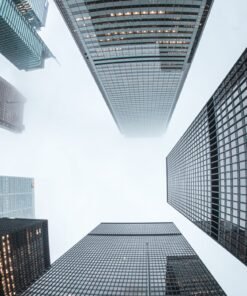 Business / Digital WordPress Website